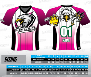 IFFSC Falcons V Neck Tee - Mens