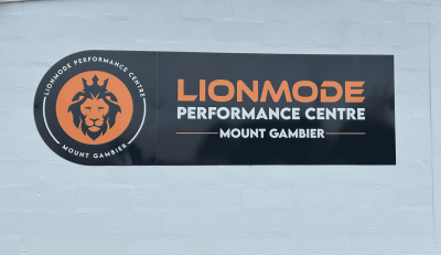 Lionmode